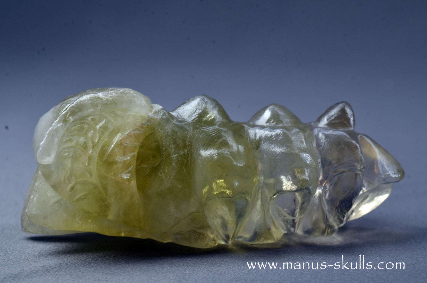 Citrine Dragon