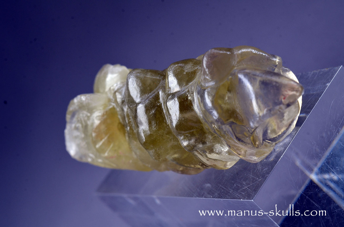 Citrine Dragon