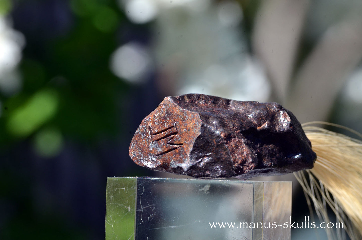 Meteorite Tribal Skull ....