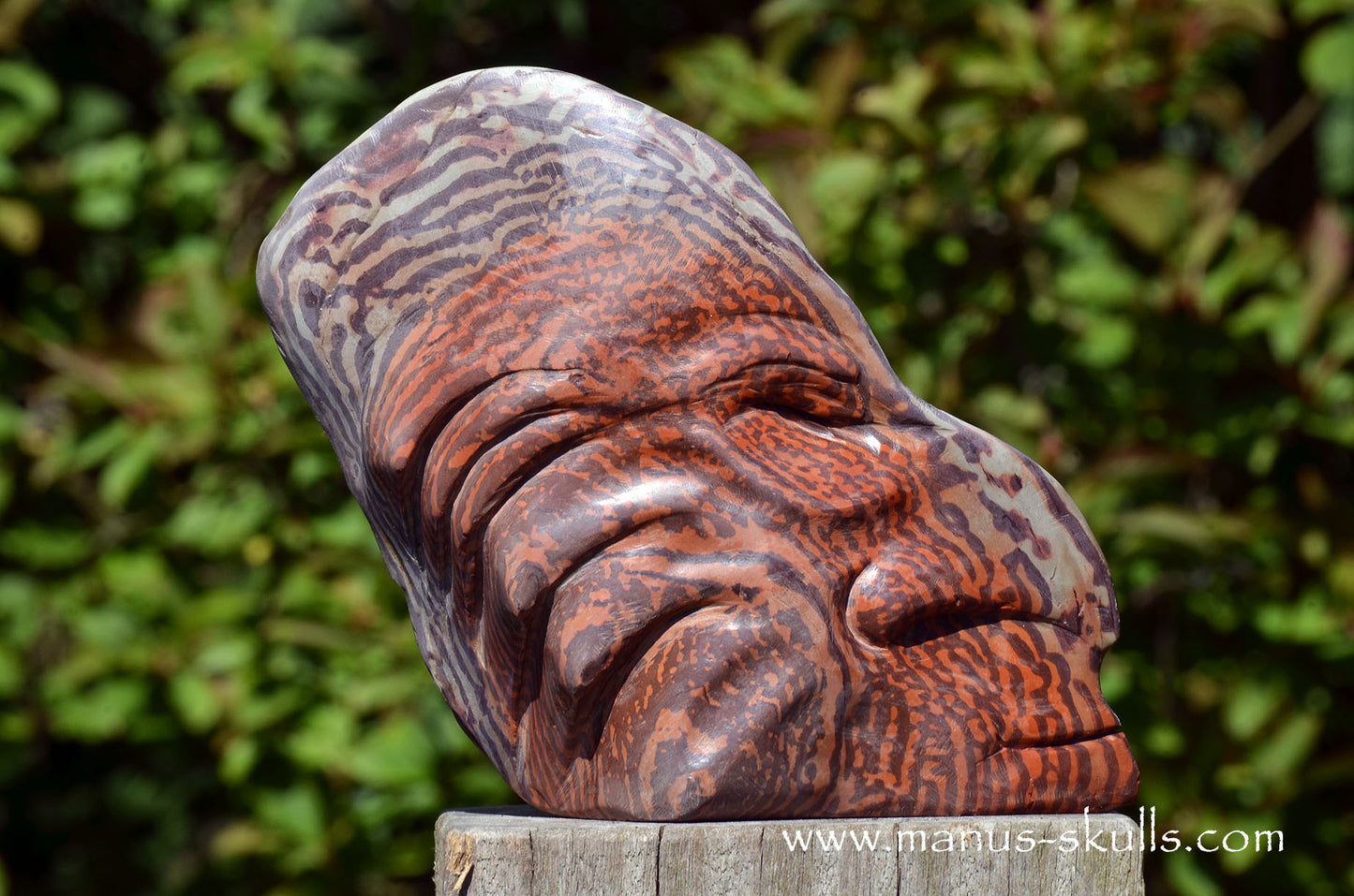 Australian Printstone Tribal Skull Face ...