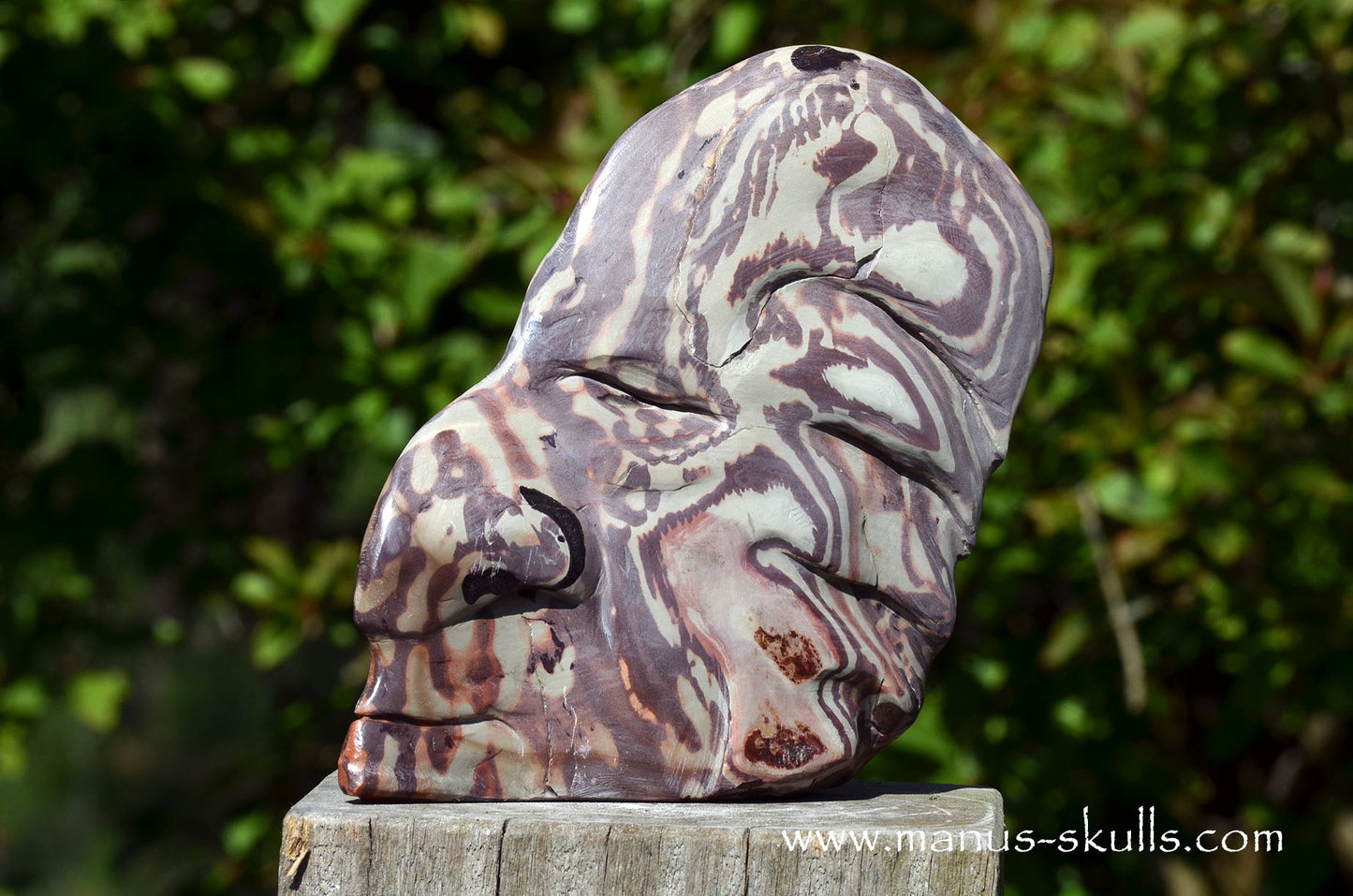 Australian Printstone Tribal Skull Face ...