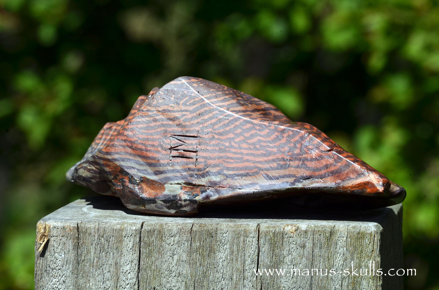 Australian Printstone Tribal Skull Face ...
