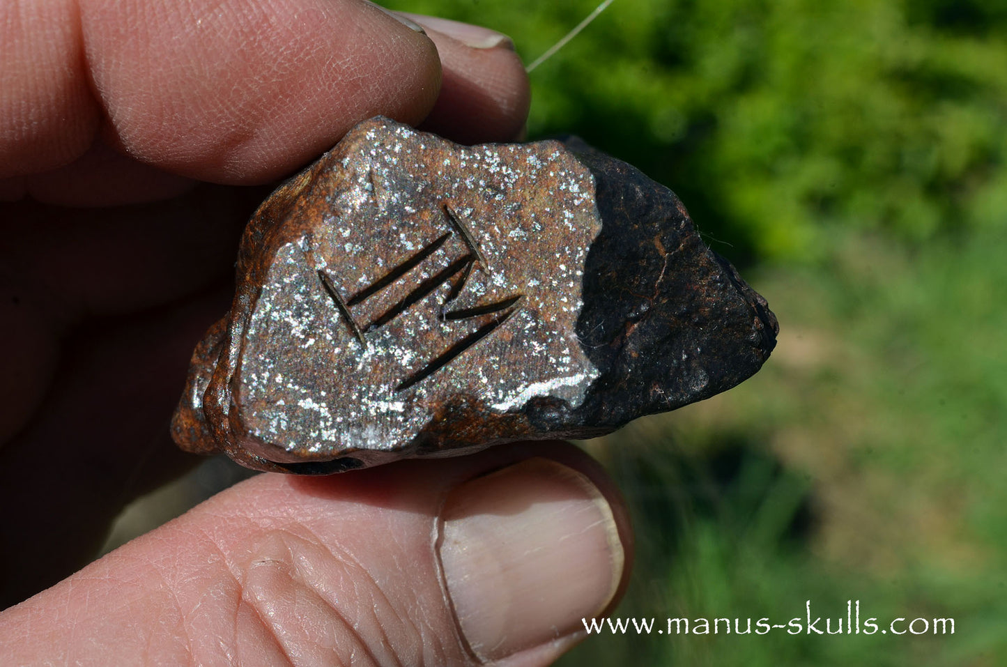 Meteorite Tribal Skull ....