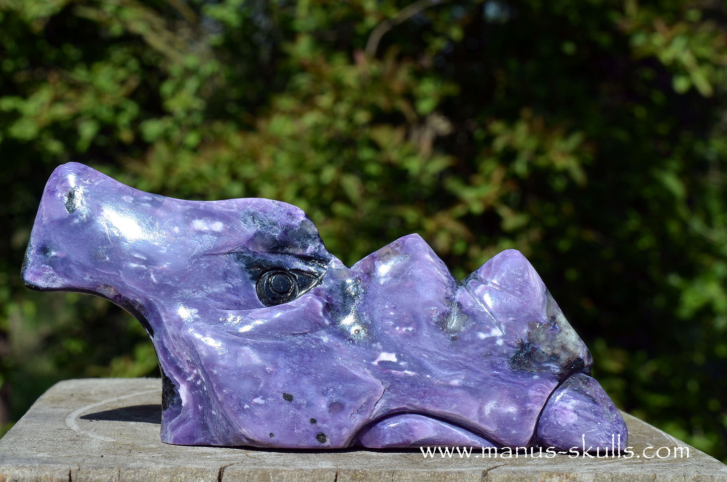 Charoite Dragon