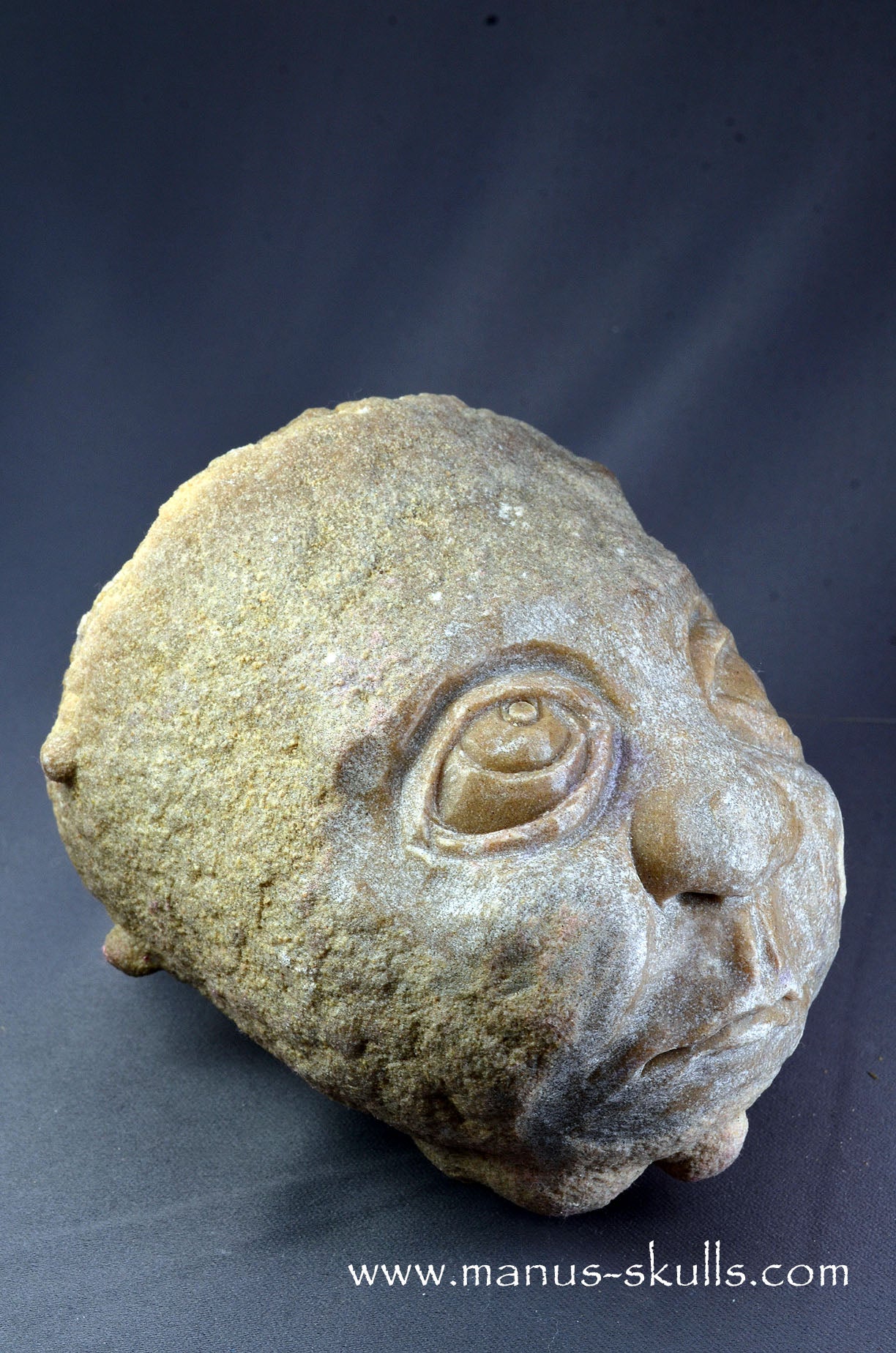 Stromatolite ~ Oncolite Child Skull Face