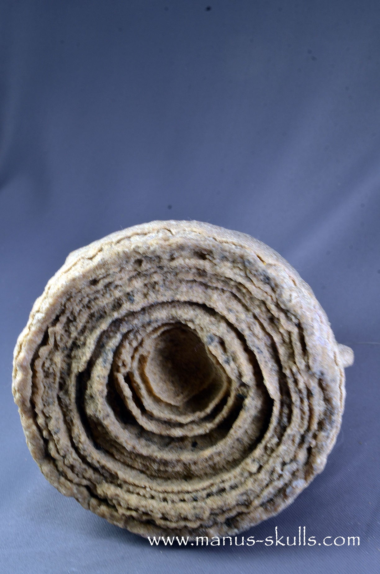 Stromatolite ~ Oncolite Child Skull Face