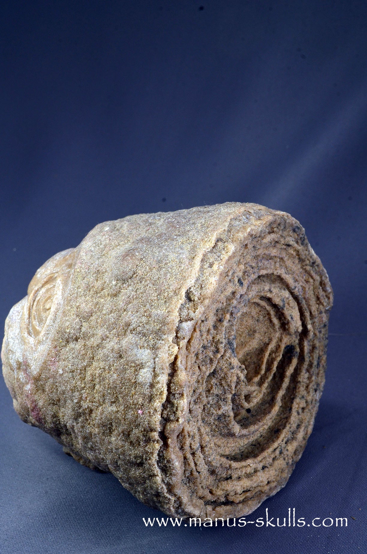 Stromatolite ~ Oncolite Child Skull Face