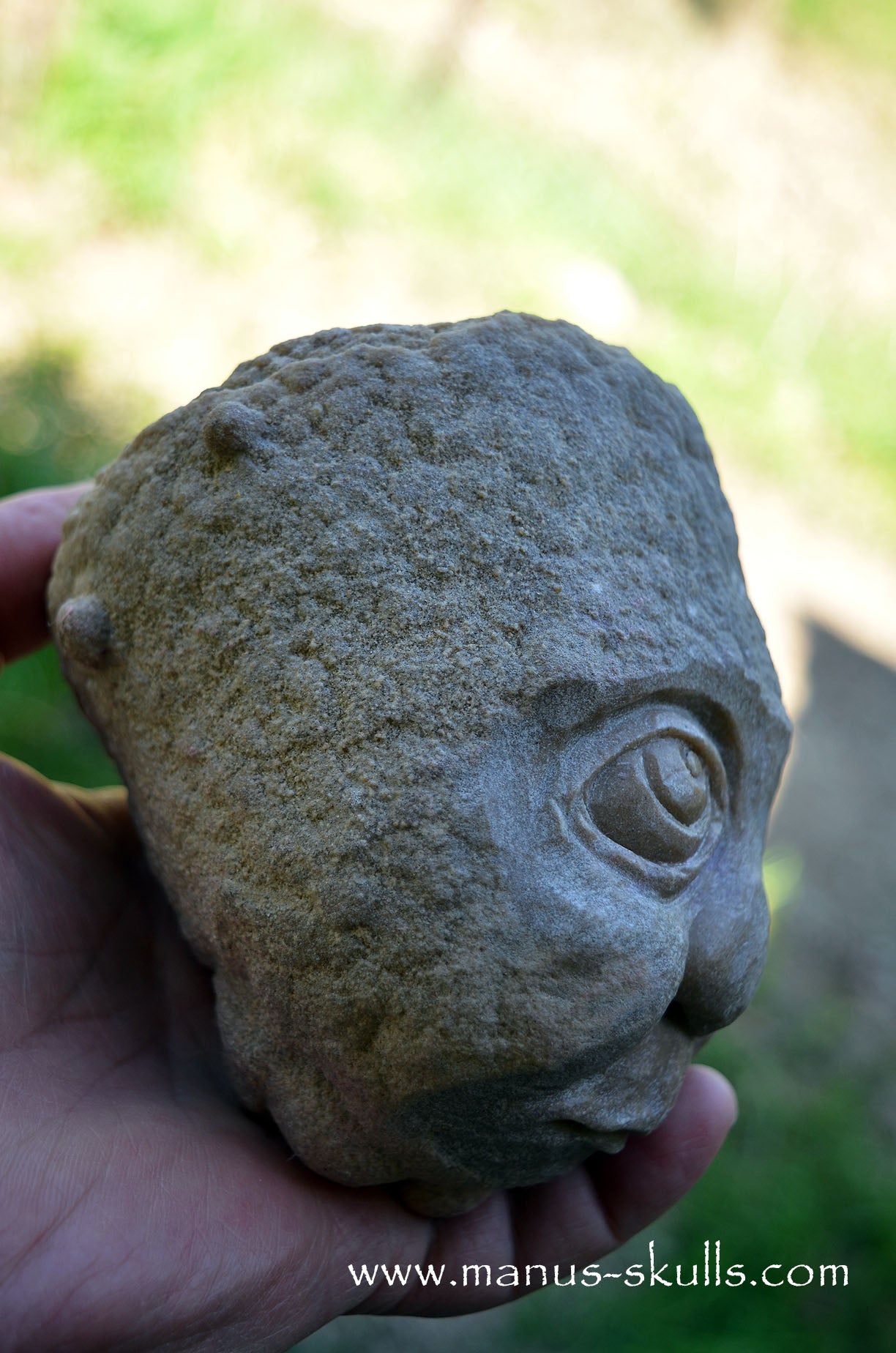 Stromatolite ~ Oncolite Child Skull Face
