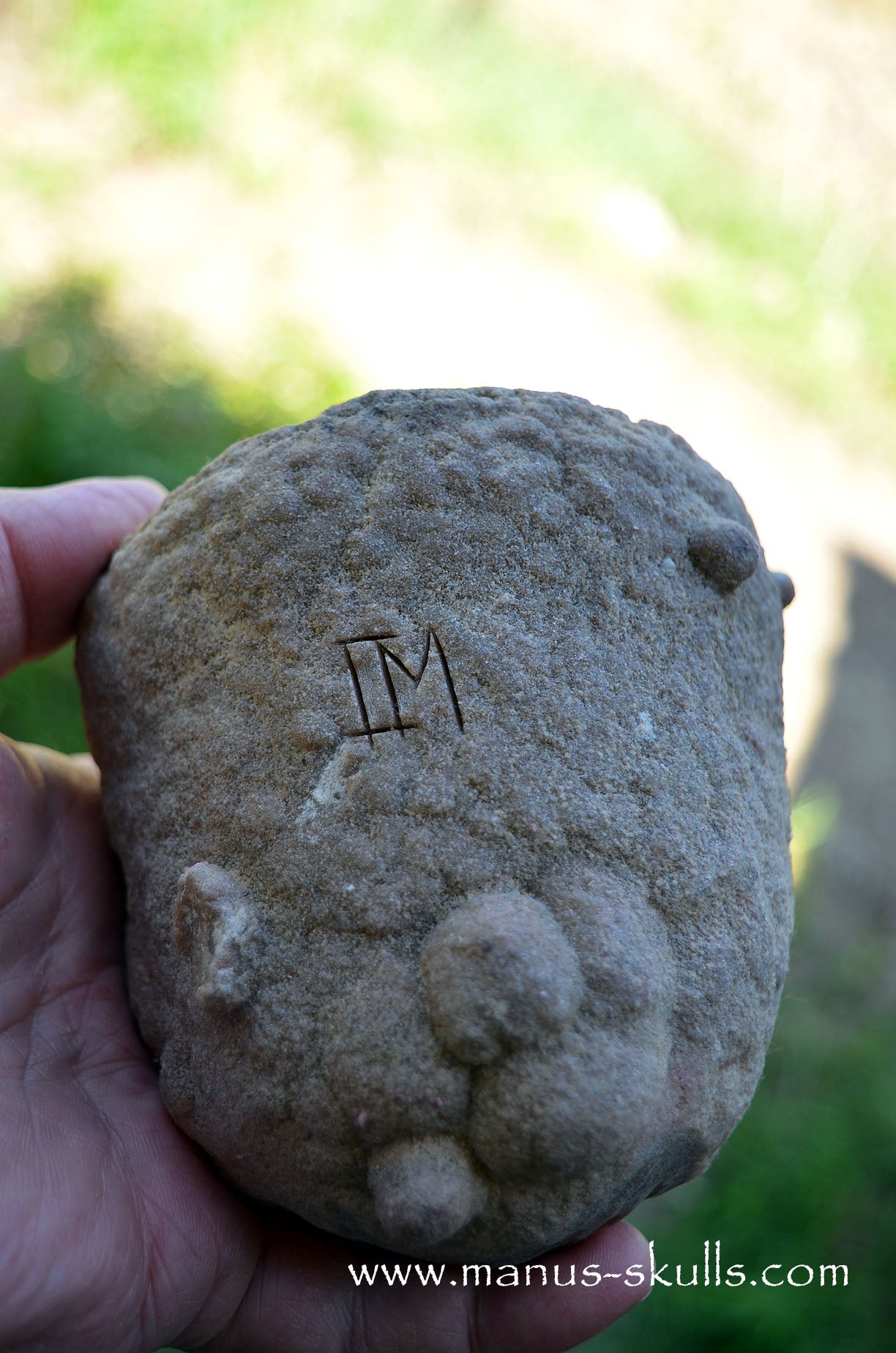 Stromatolite ~ Oncolite Child Skull Face