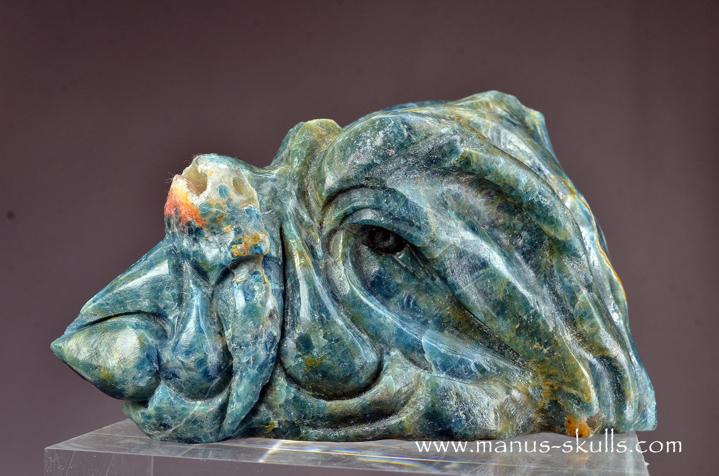 Detailed Apatite Dragon