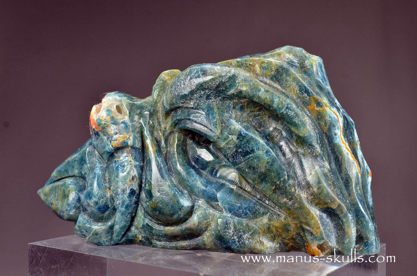 Detailed Apatite Dragon