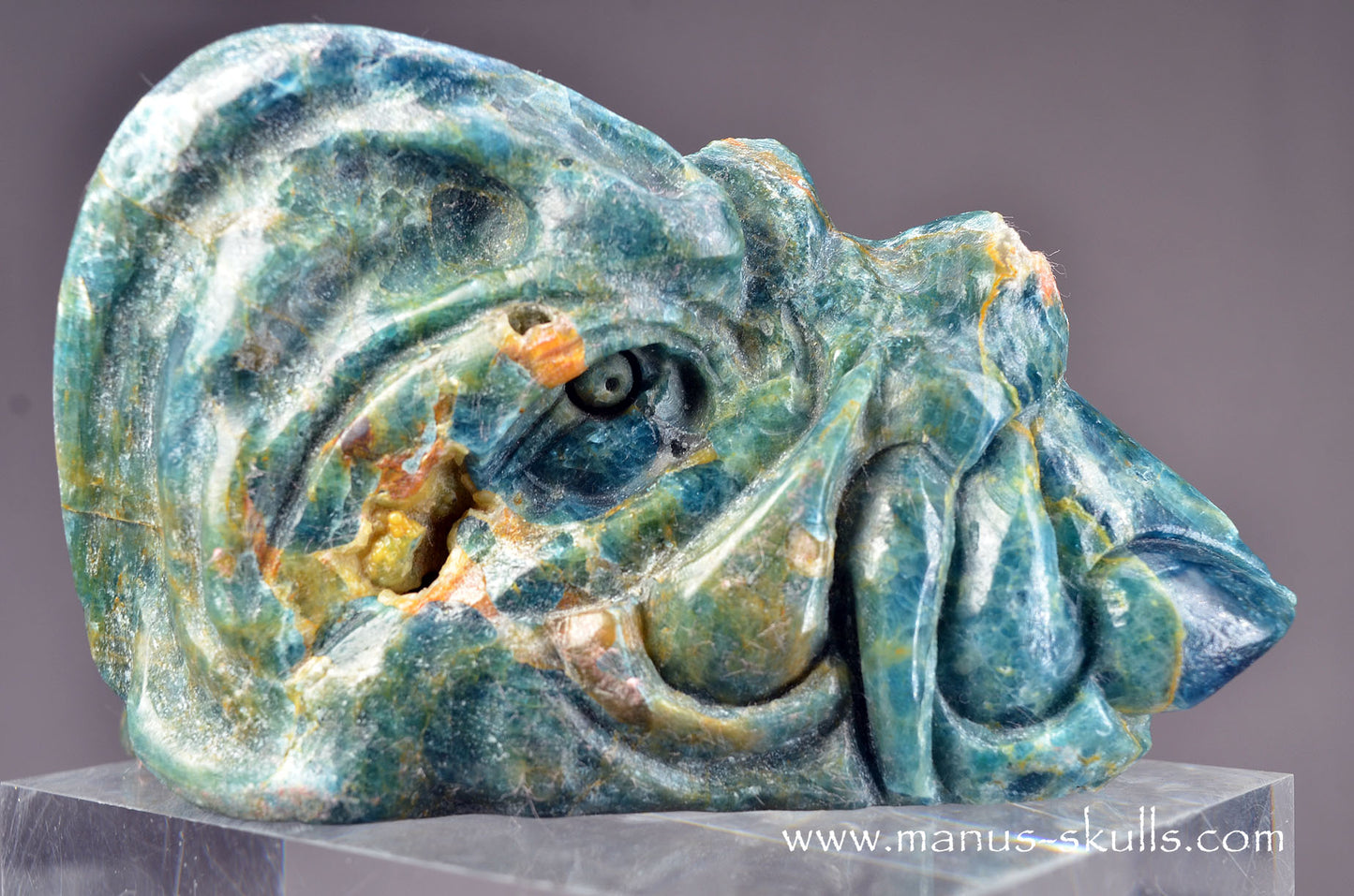 Detailed Apatite Dragon