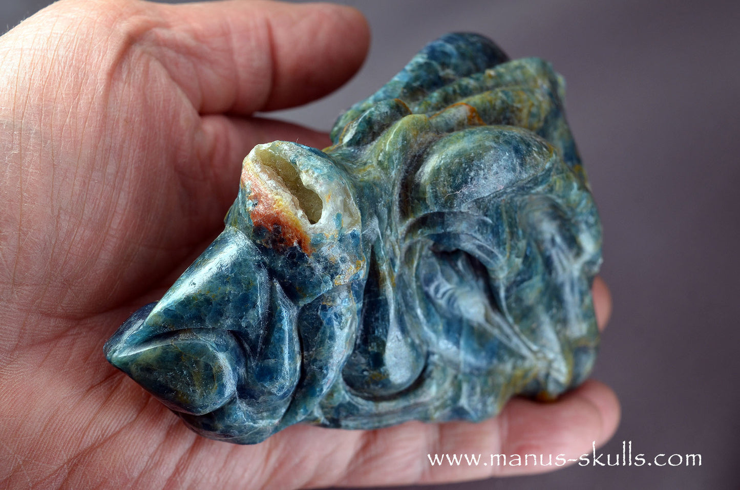 Detailed Apatite Dragon