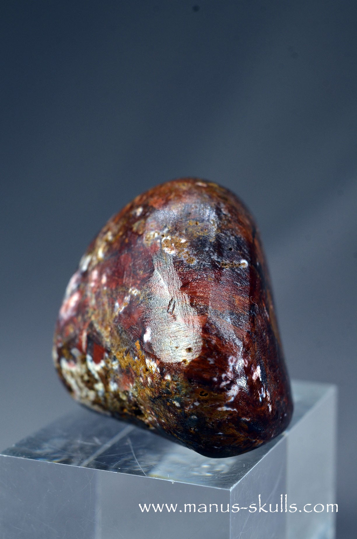 Pietersite Toothless Skull