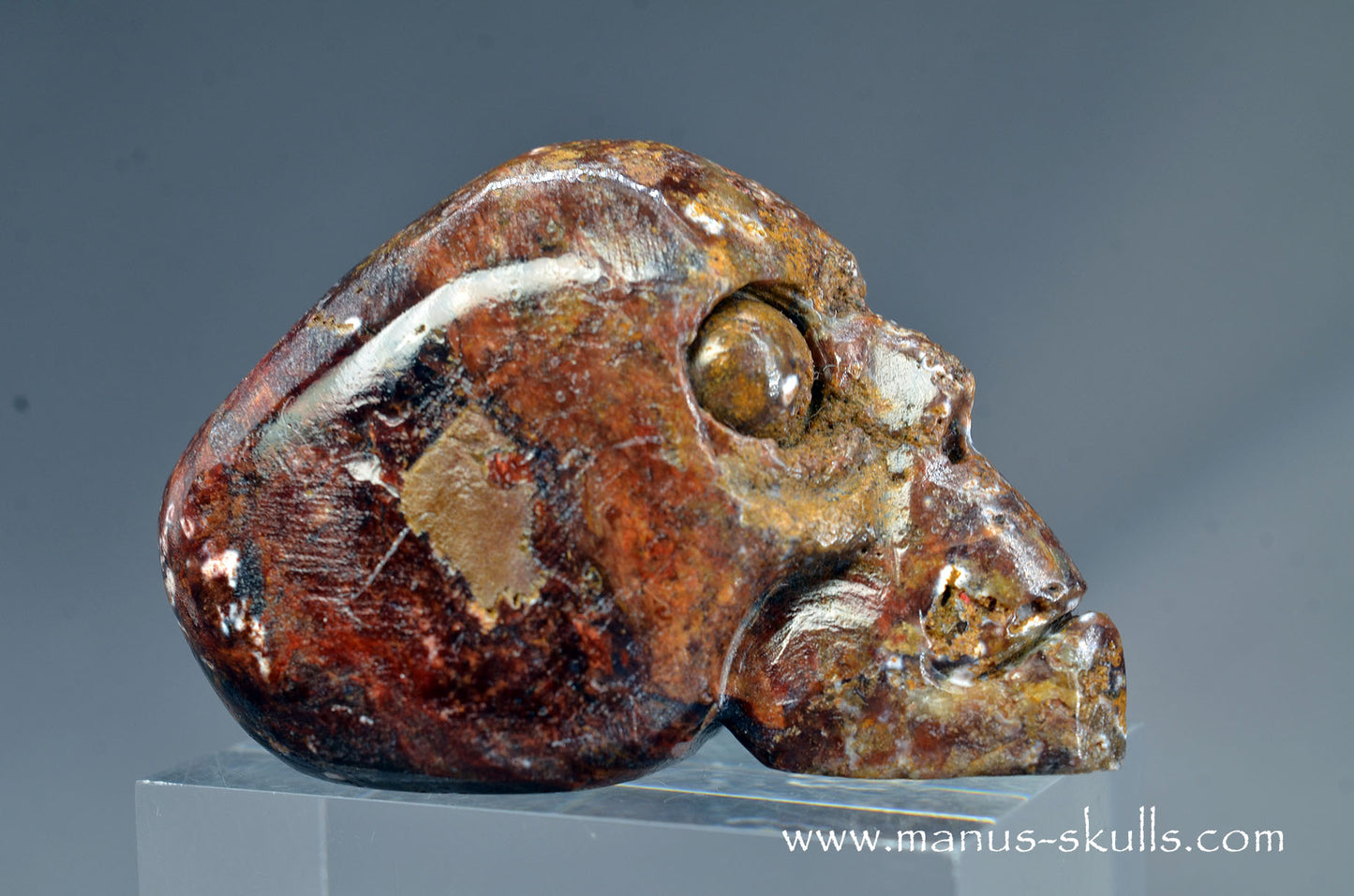 Pietersite Toothless Skull