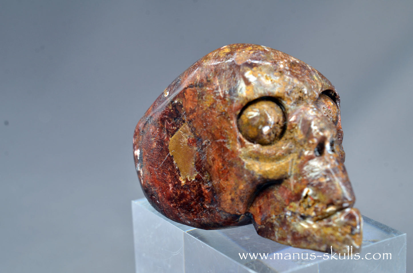 Pietersite Toothless Skull