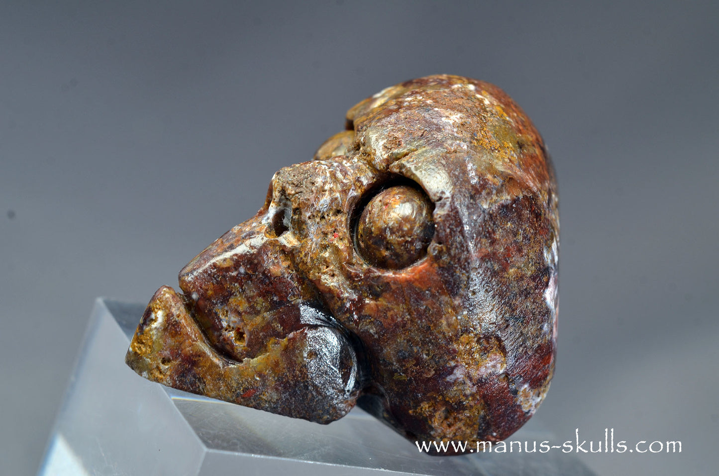 Pietersite Toothless Skull