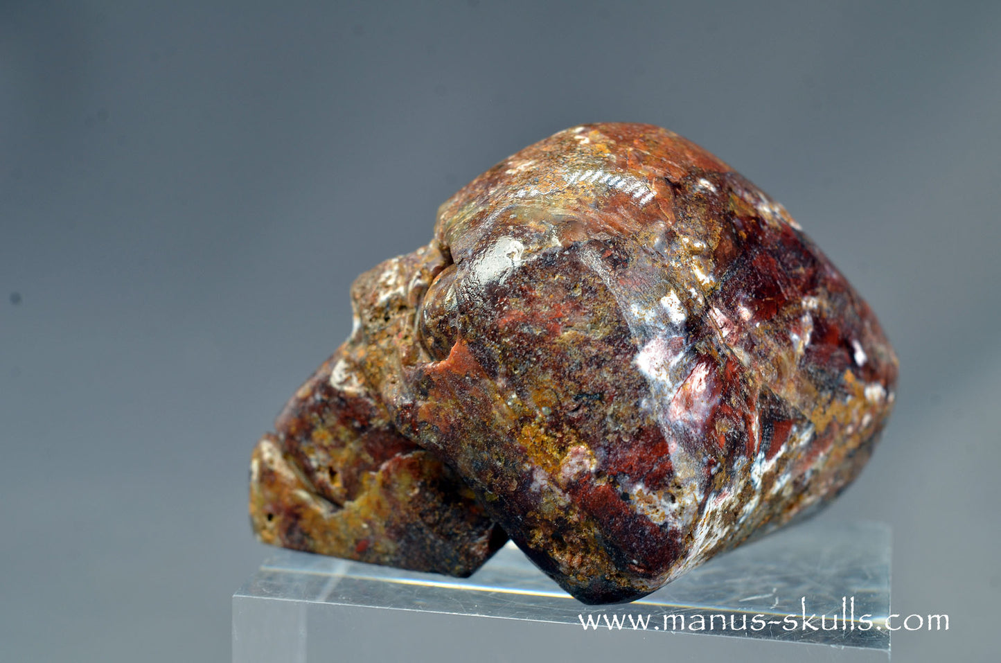 Pietersite Toothless Skull