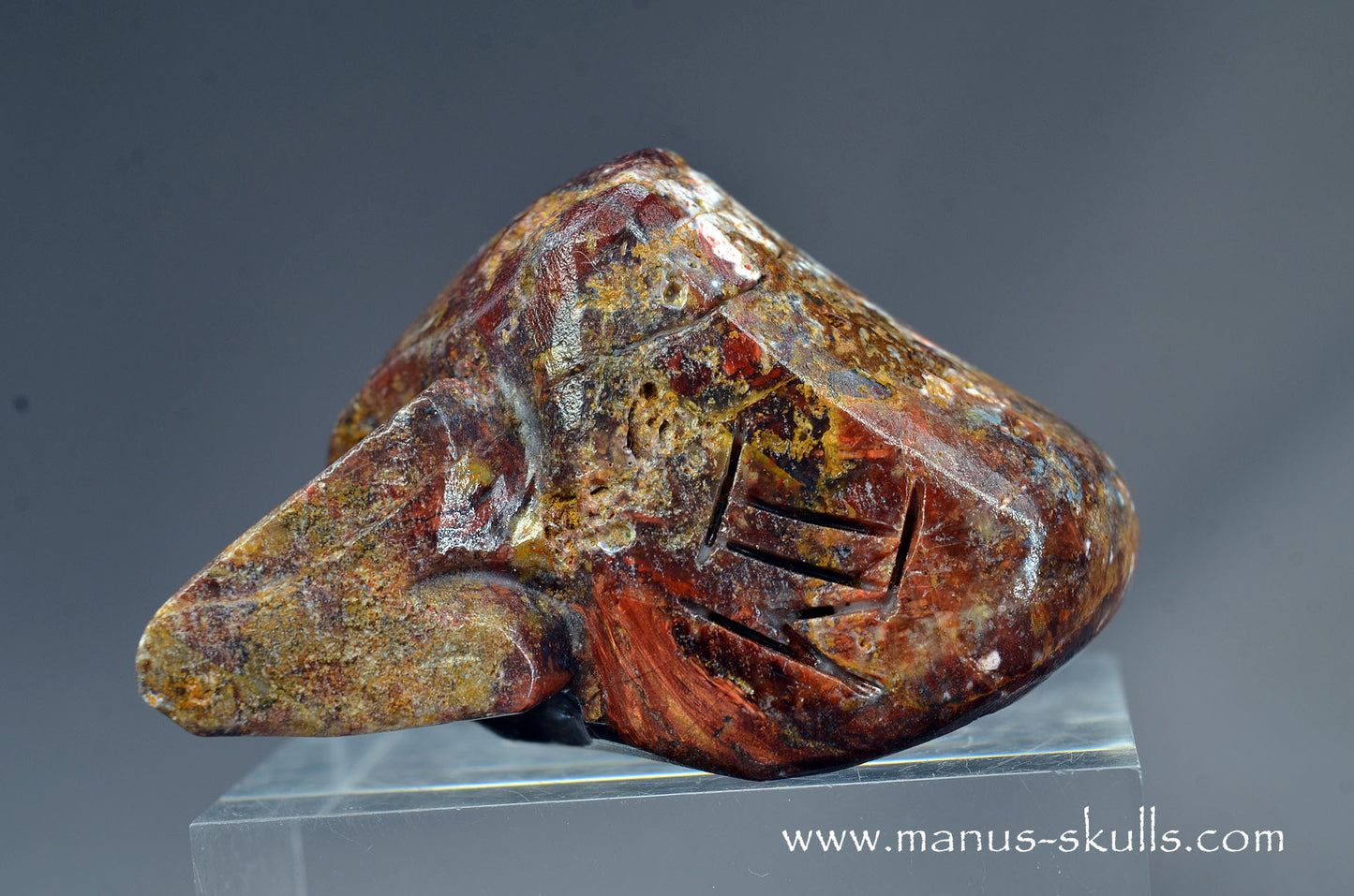 Pietersite Toothless Skull