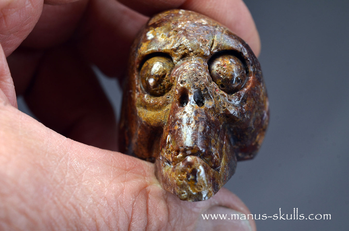 Pietersite Toothless Skull