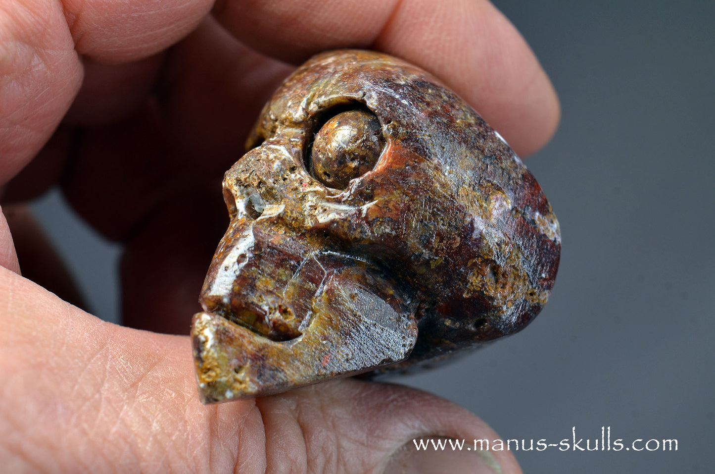 Pietersite Toothless Skull