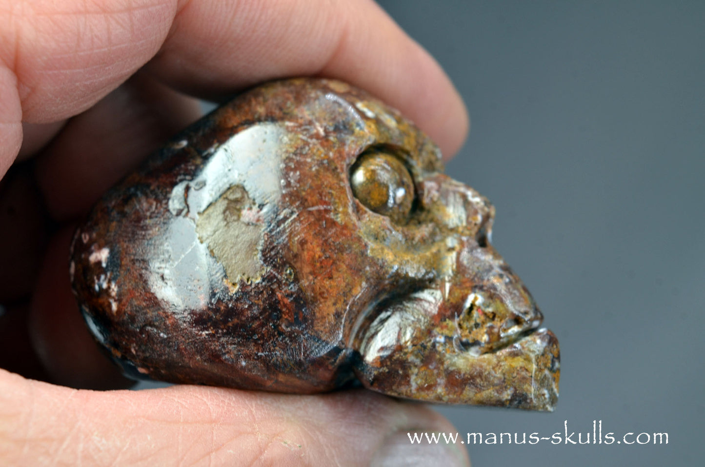 Pietersite Toothless Skull