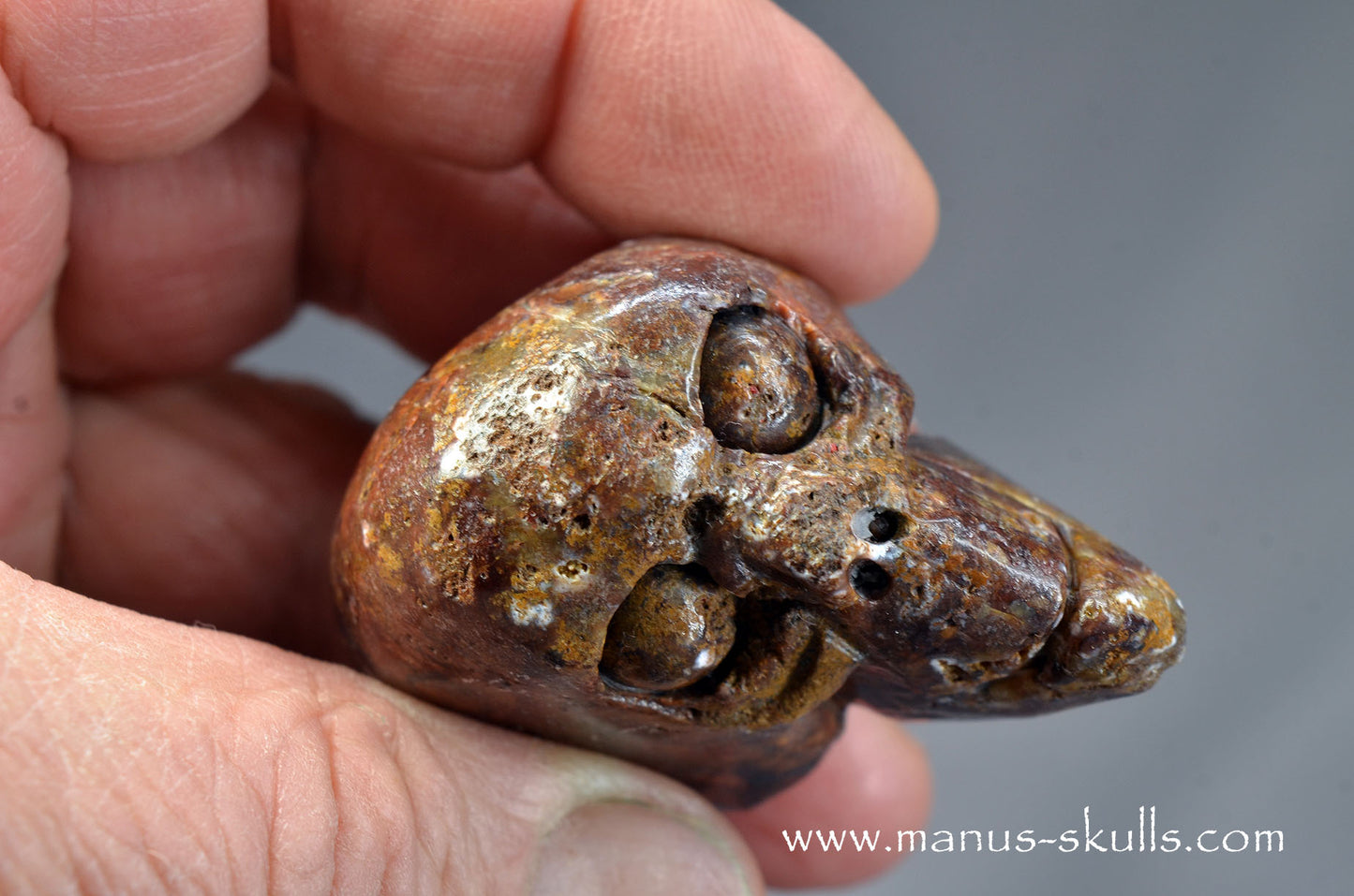 Pietersite Toothless Skull