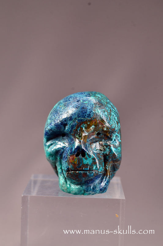 Quantum Quattro Baby Skull