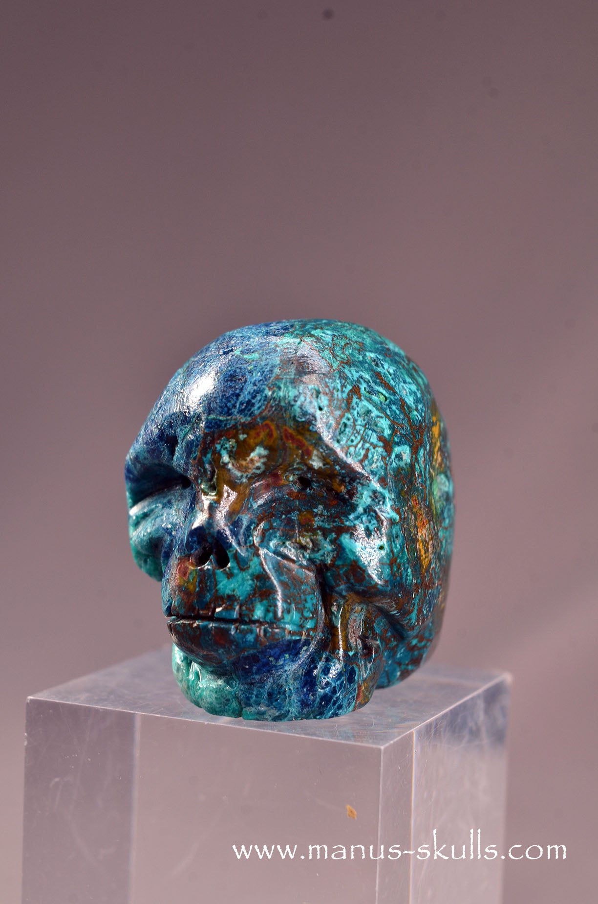 Quantum Quattro Baby Skull