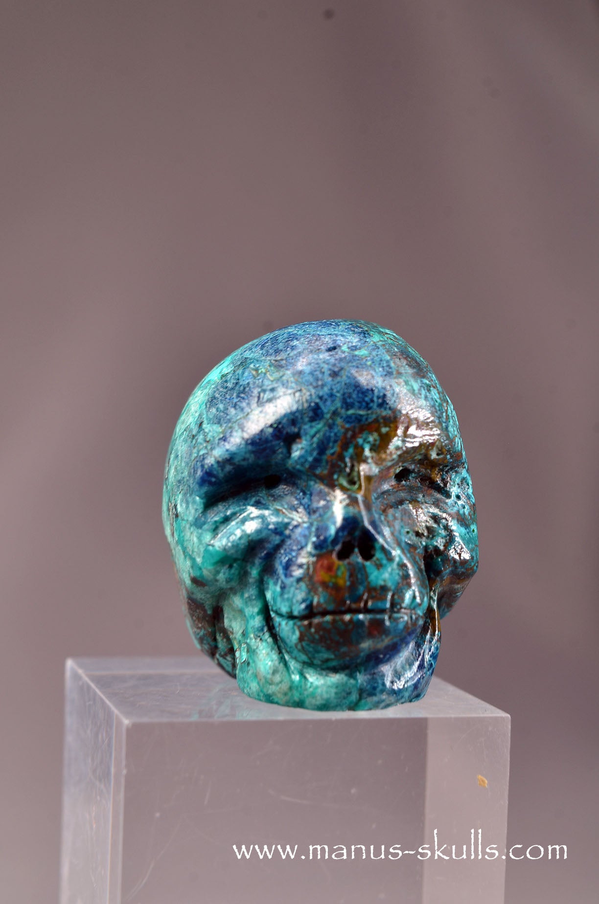 Quantum Quattro Baby Skull