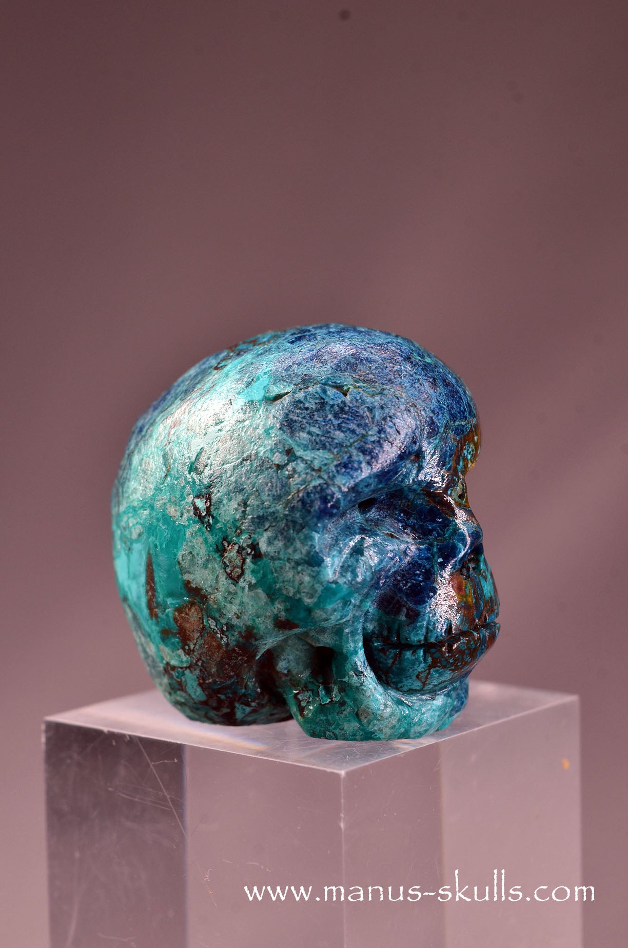 Quantum Quattro Baby Skull