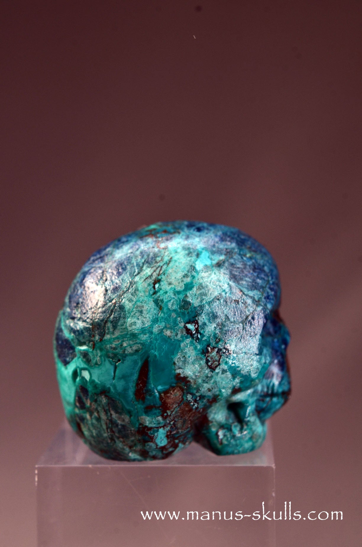 Quantum Quattro Baby Skull