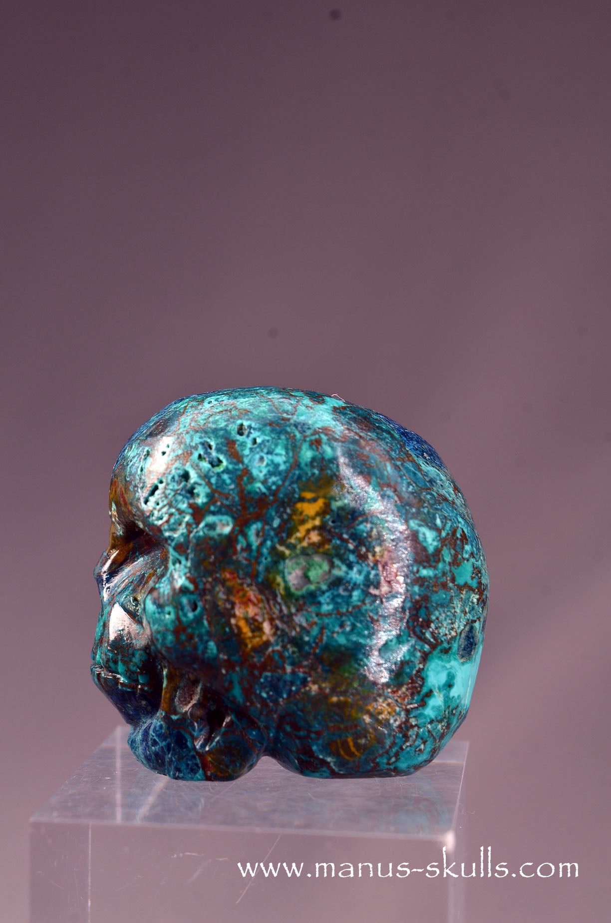 Quantum Quattro Baby Skull