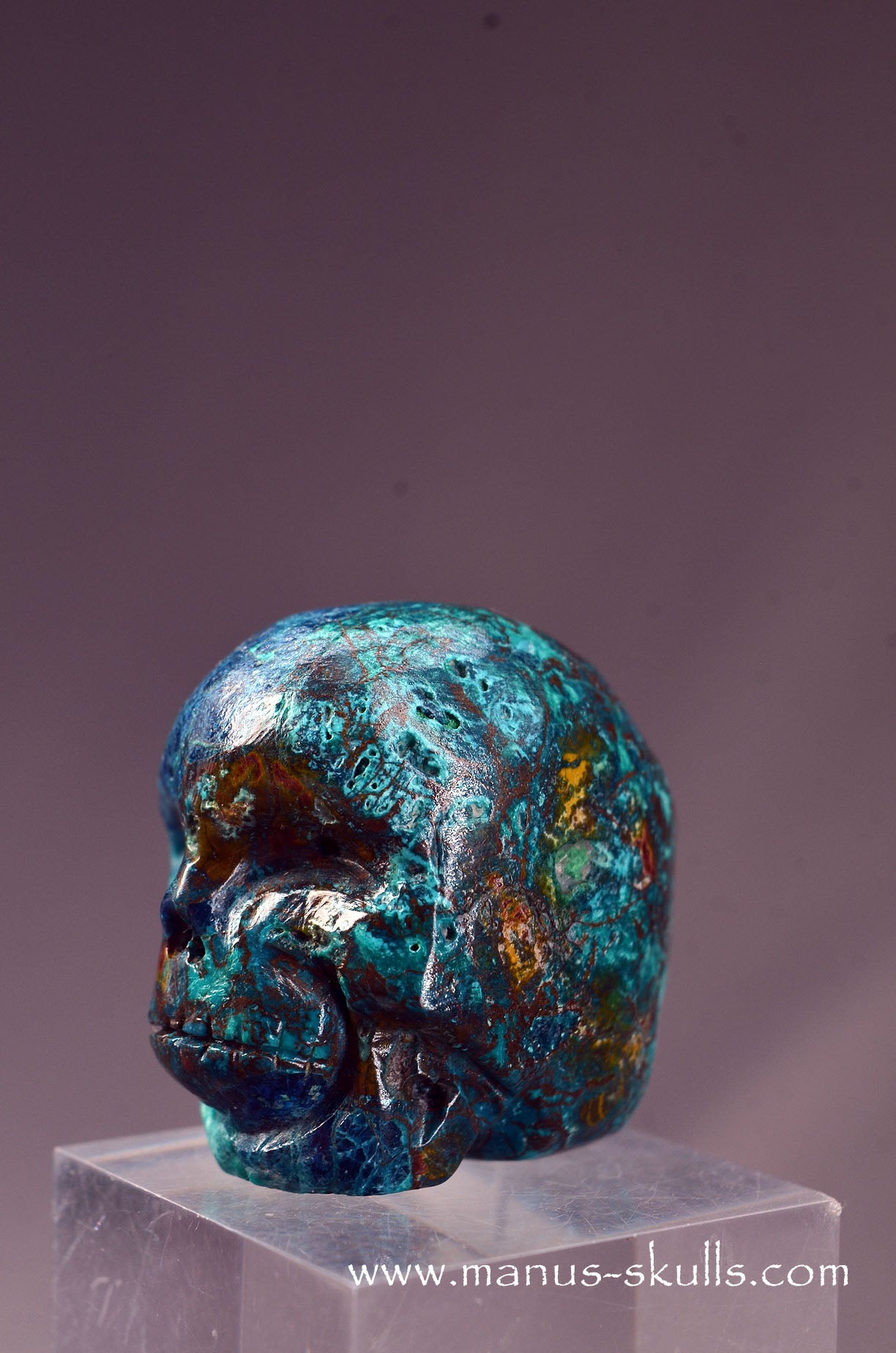 Quantum Quattro Baby Skull