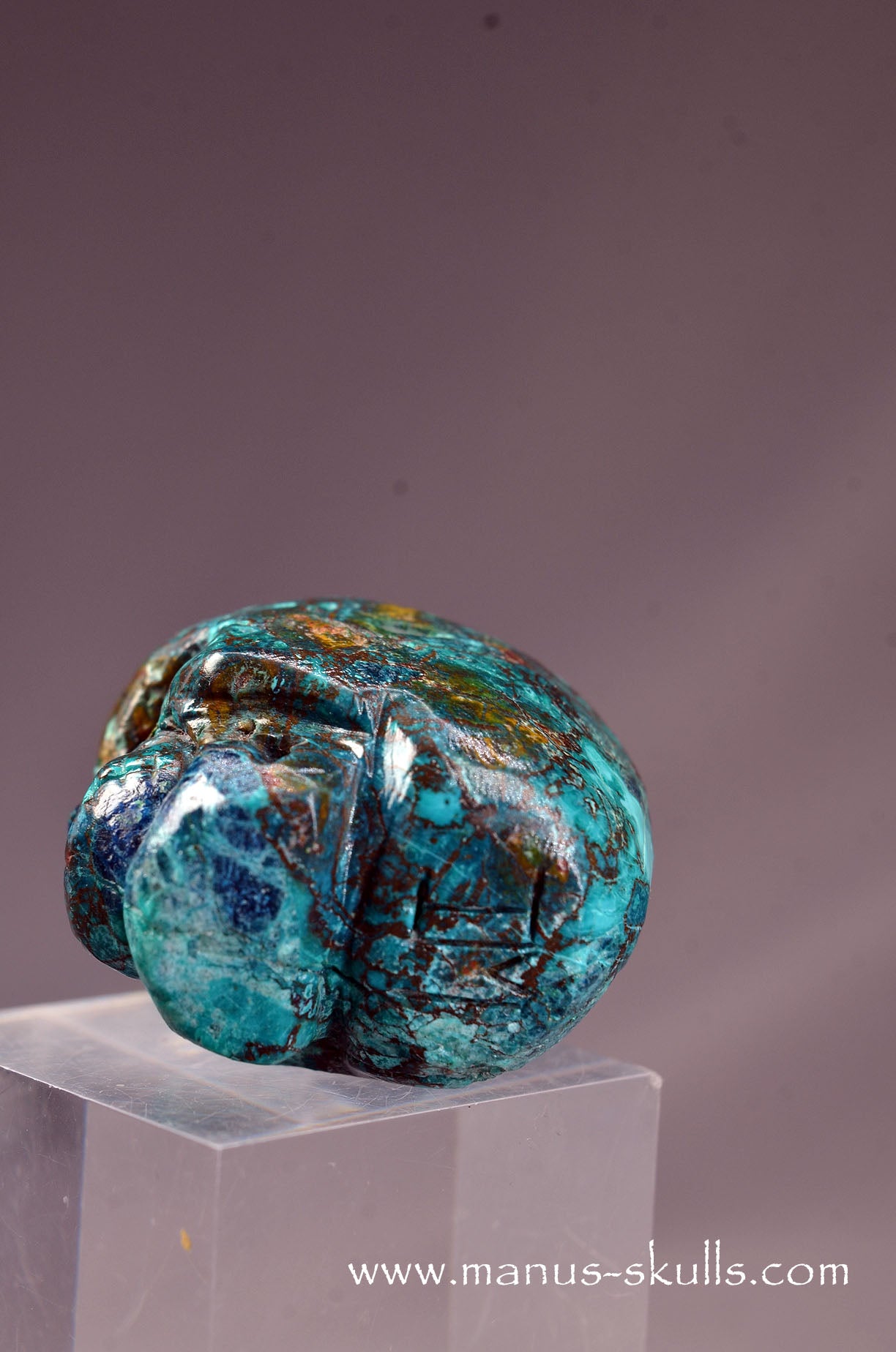 Quantum Quattro Baby Skull