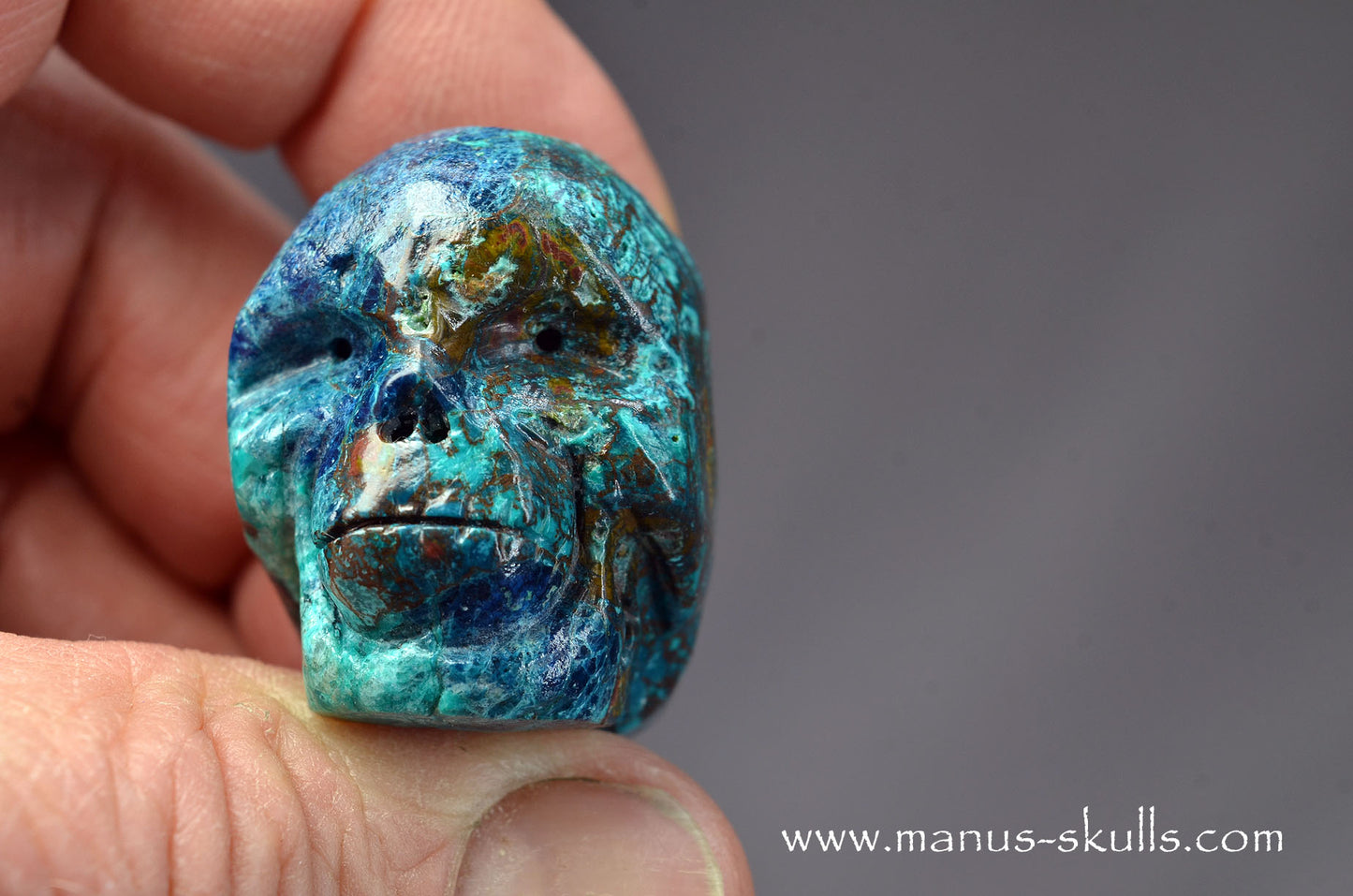 Quantum Quattro Baby Skull