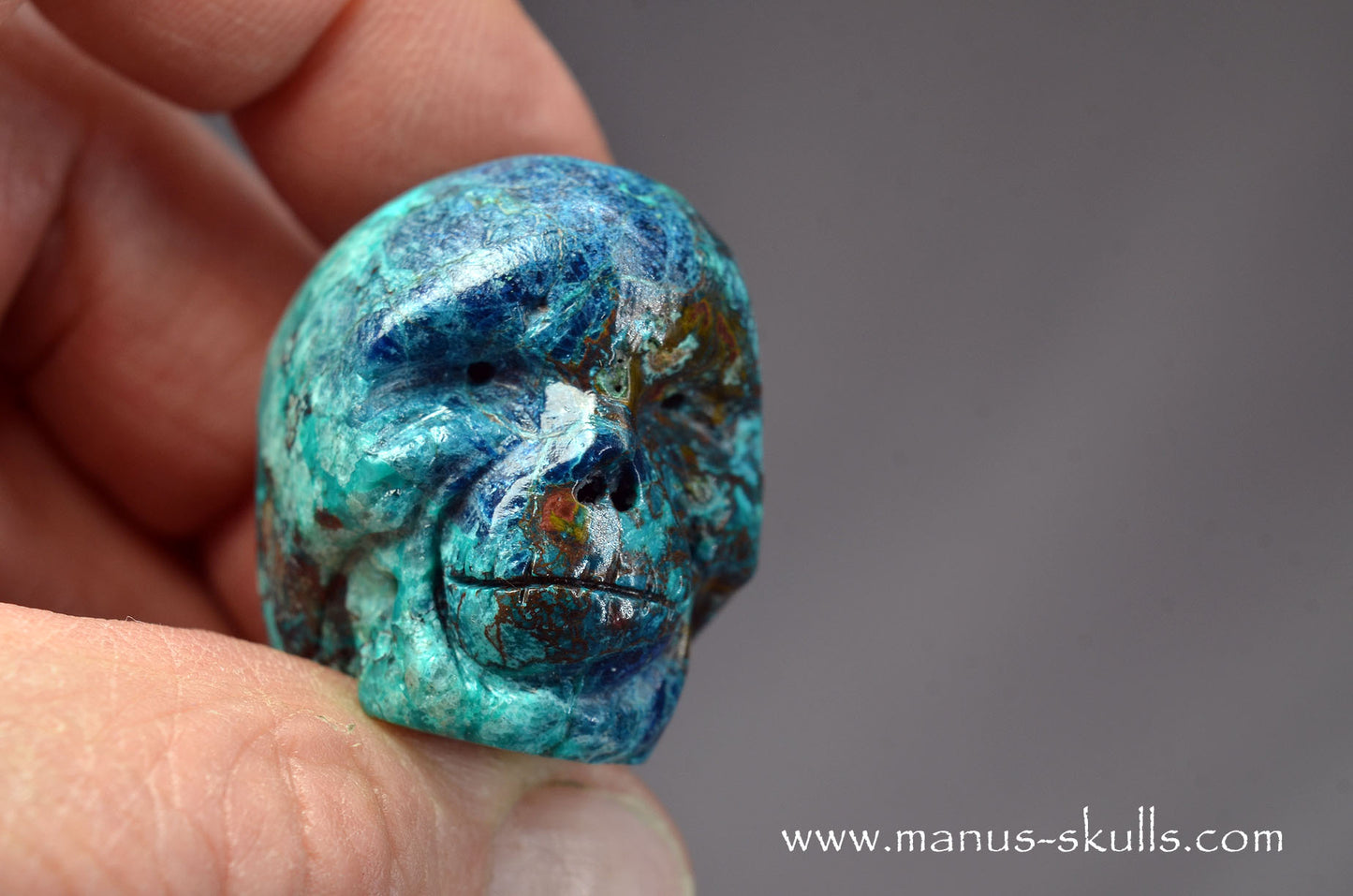 Quantum Quattro Baby Skull