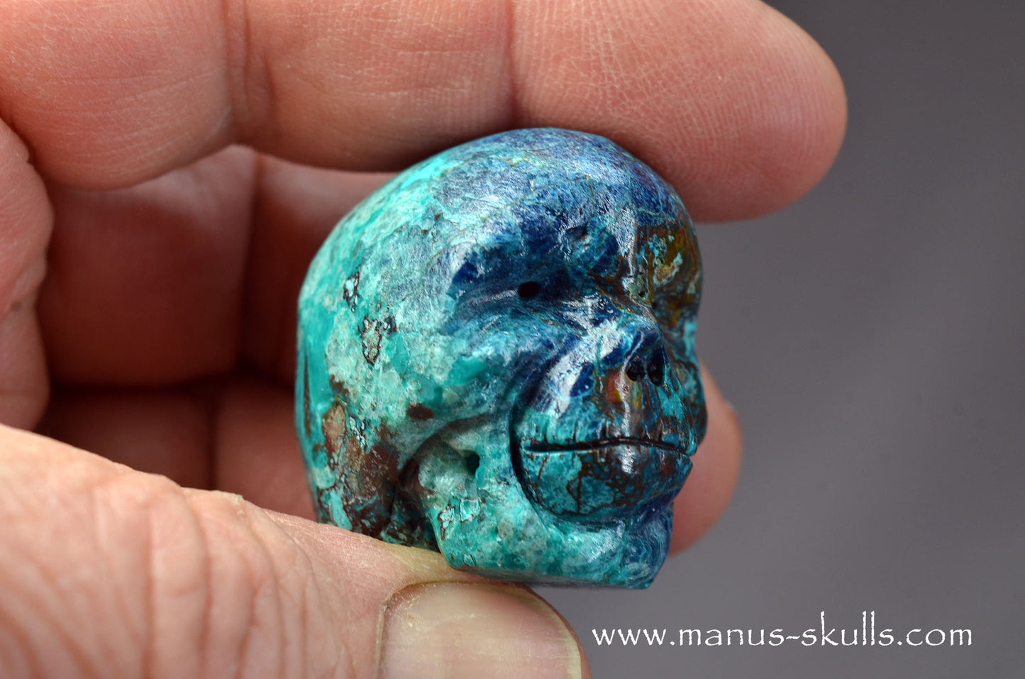Quantum Quattro Baby Skull