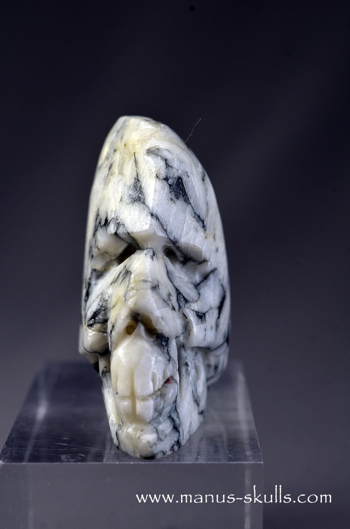 Pinolite miniature Skull