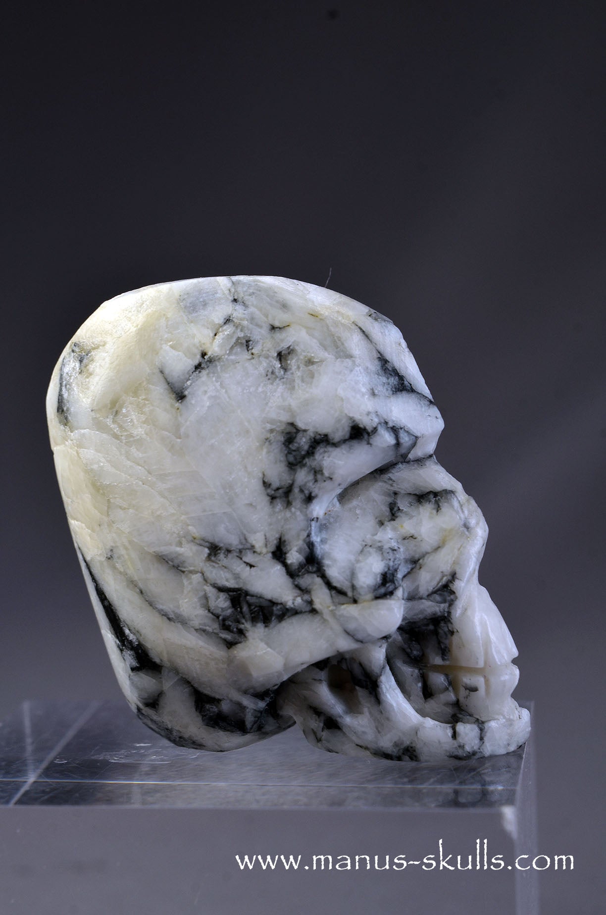Pinolite miniature Skull