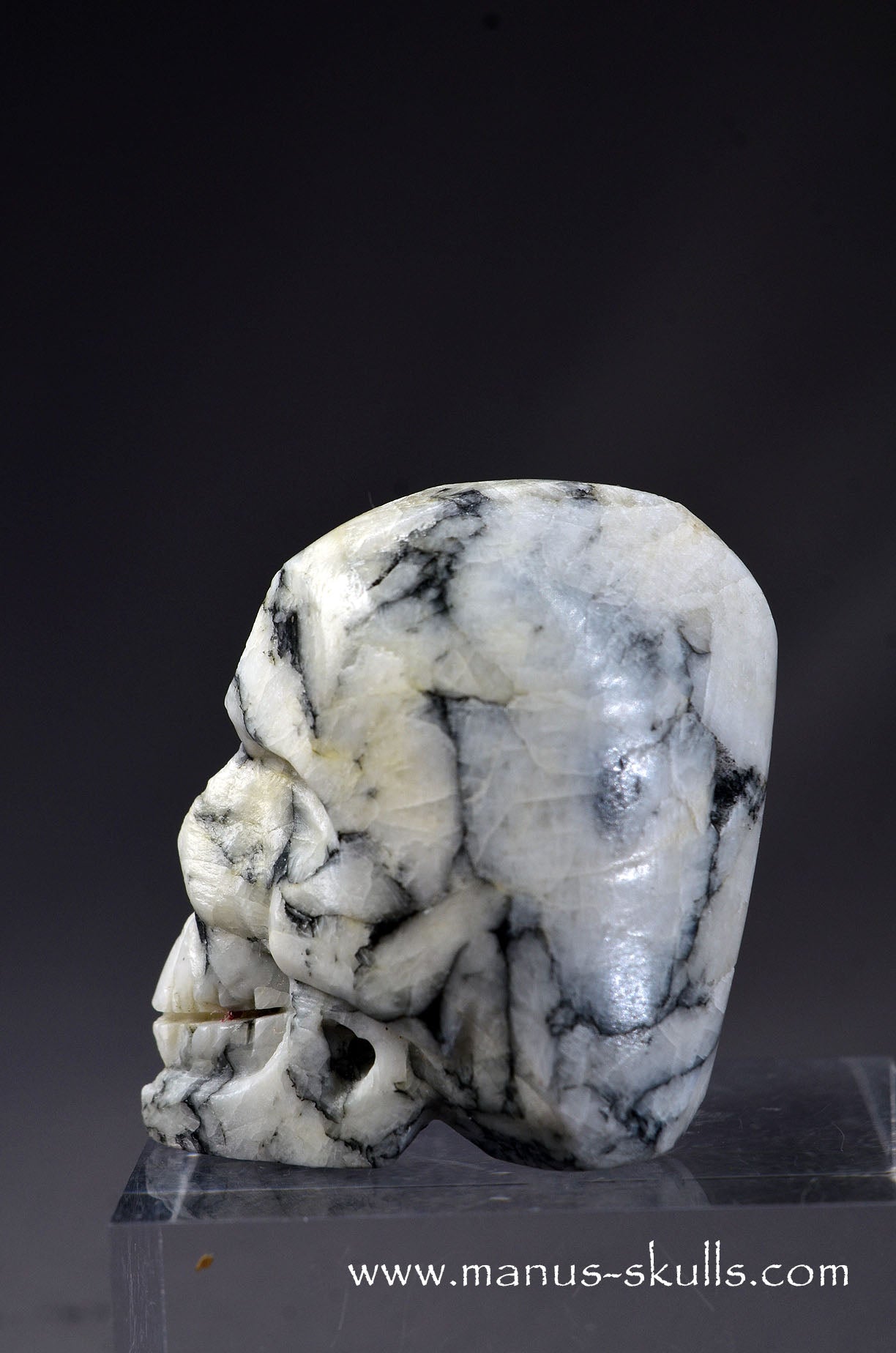 Pinolite miniature Skull