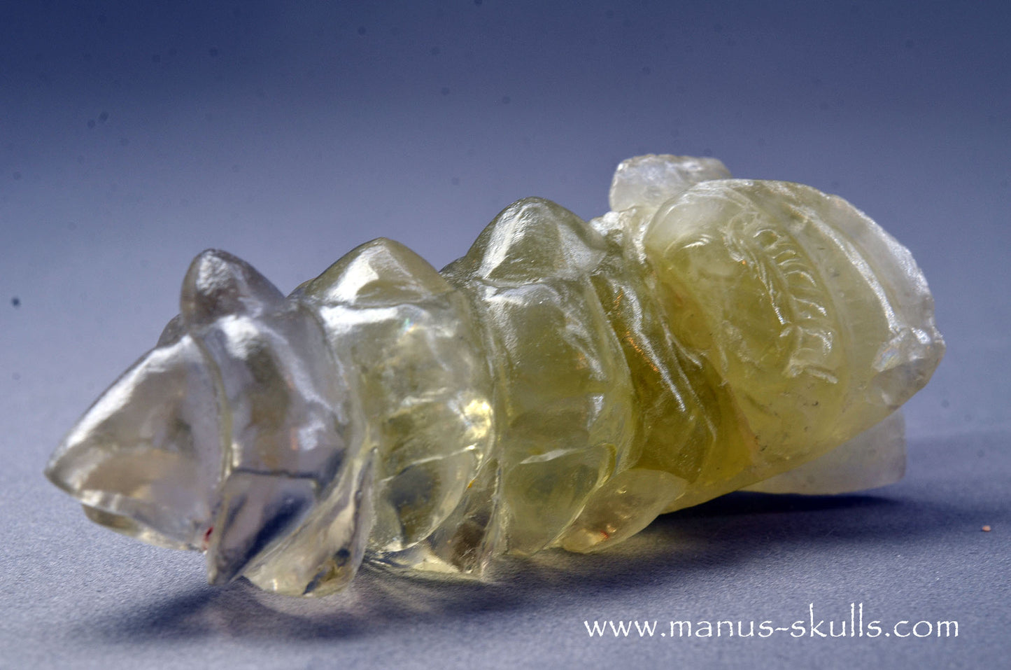 Citrine Dragon