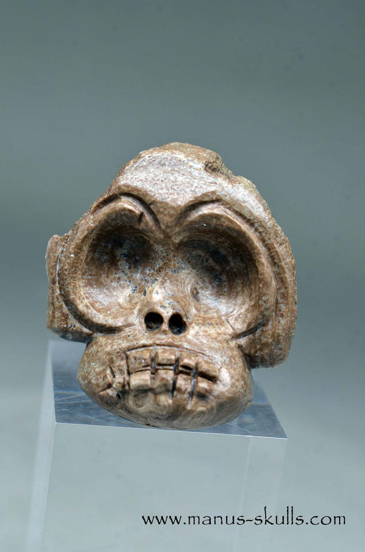 Evolian Manus SKull