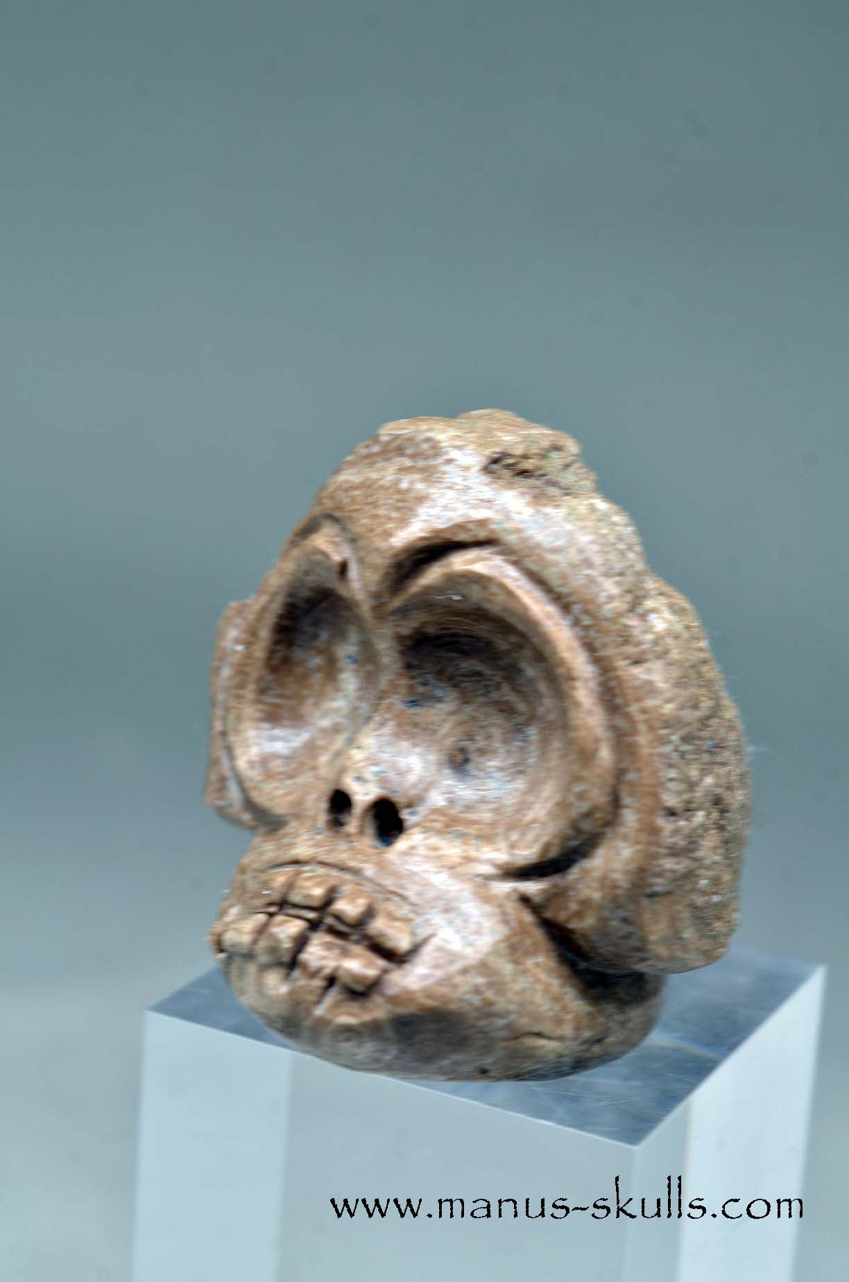 Evolian Manus SKull