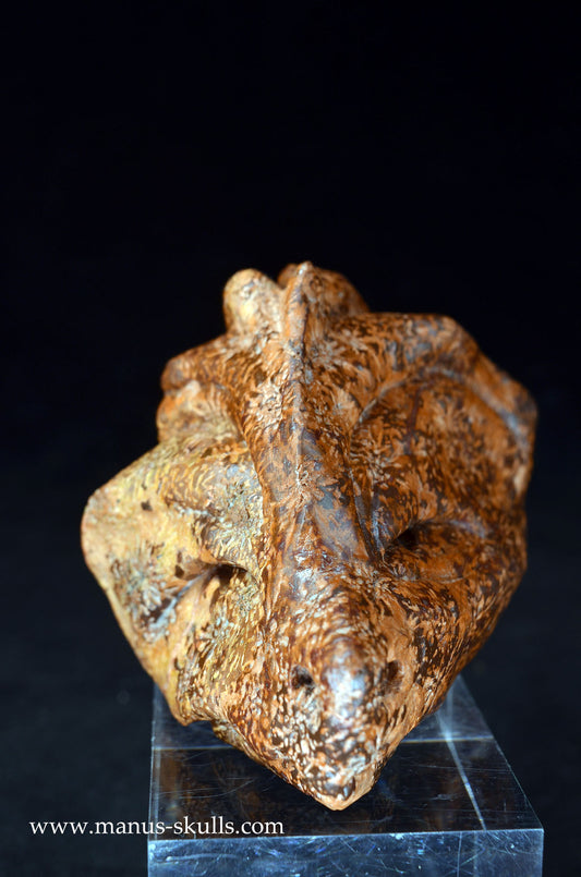 Manus skulls unique Crystal Carvings handmade skulls dragons pendants preseli bluestone tribals spiritual meaning wand Unicorn ..  star rhyolite