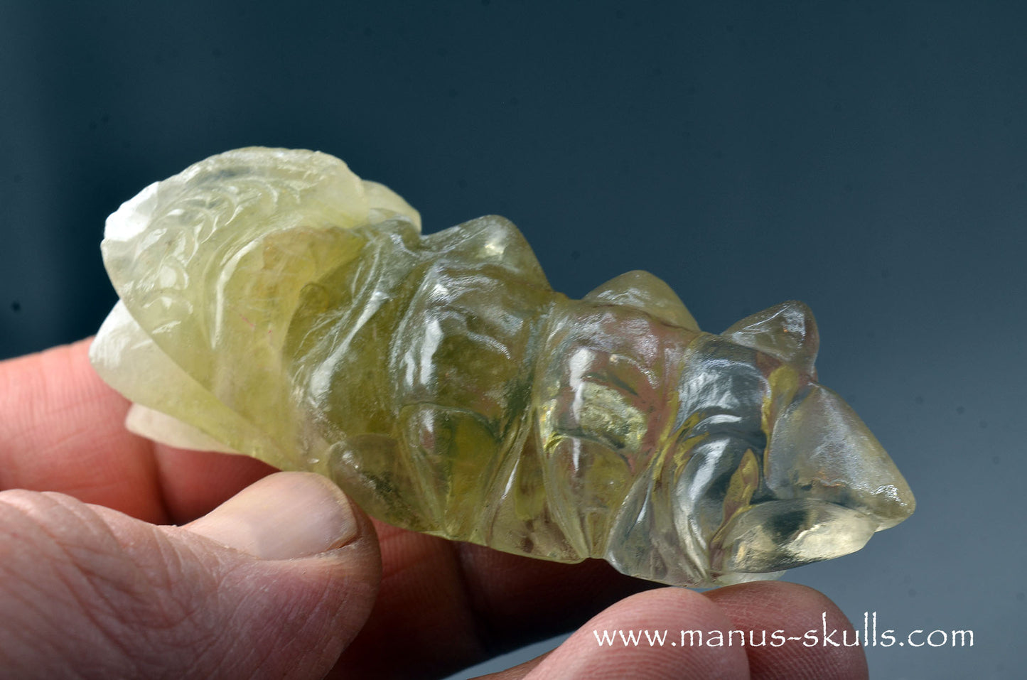 Citrine Dragon