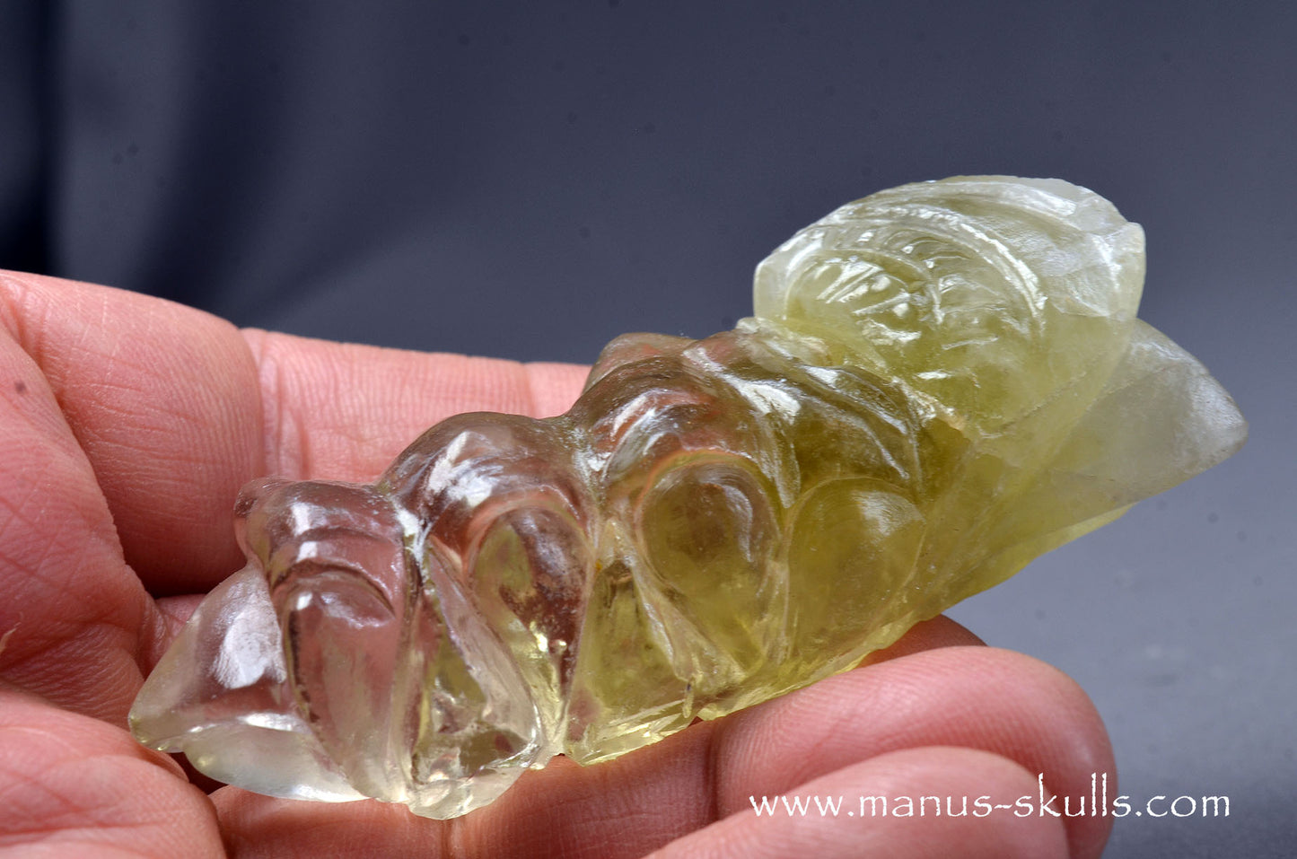 Citrine Dragon