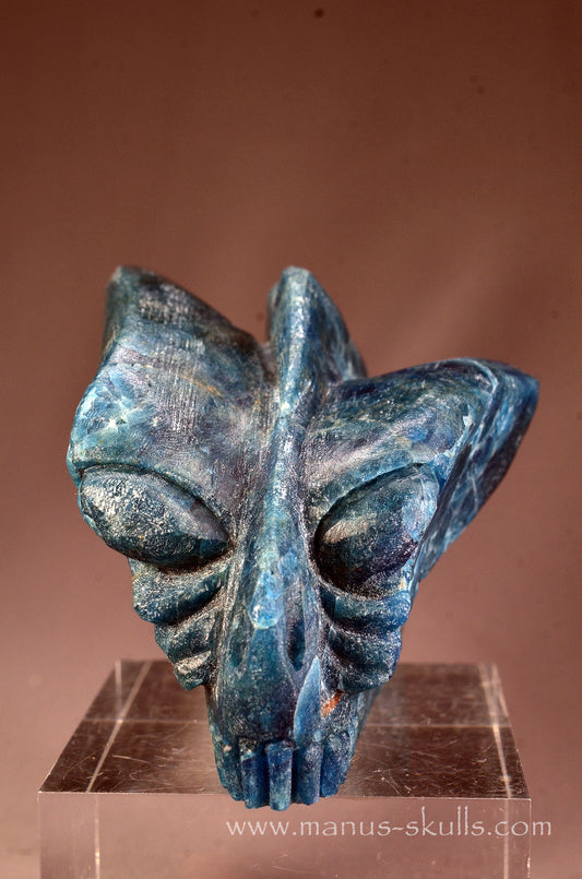 Manus skulls unique Crystal Carvings handmade skulls dragons pendants preseli bluestone tribals spiritual meaning wand Unicorn .. apatite