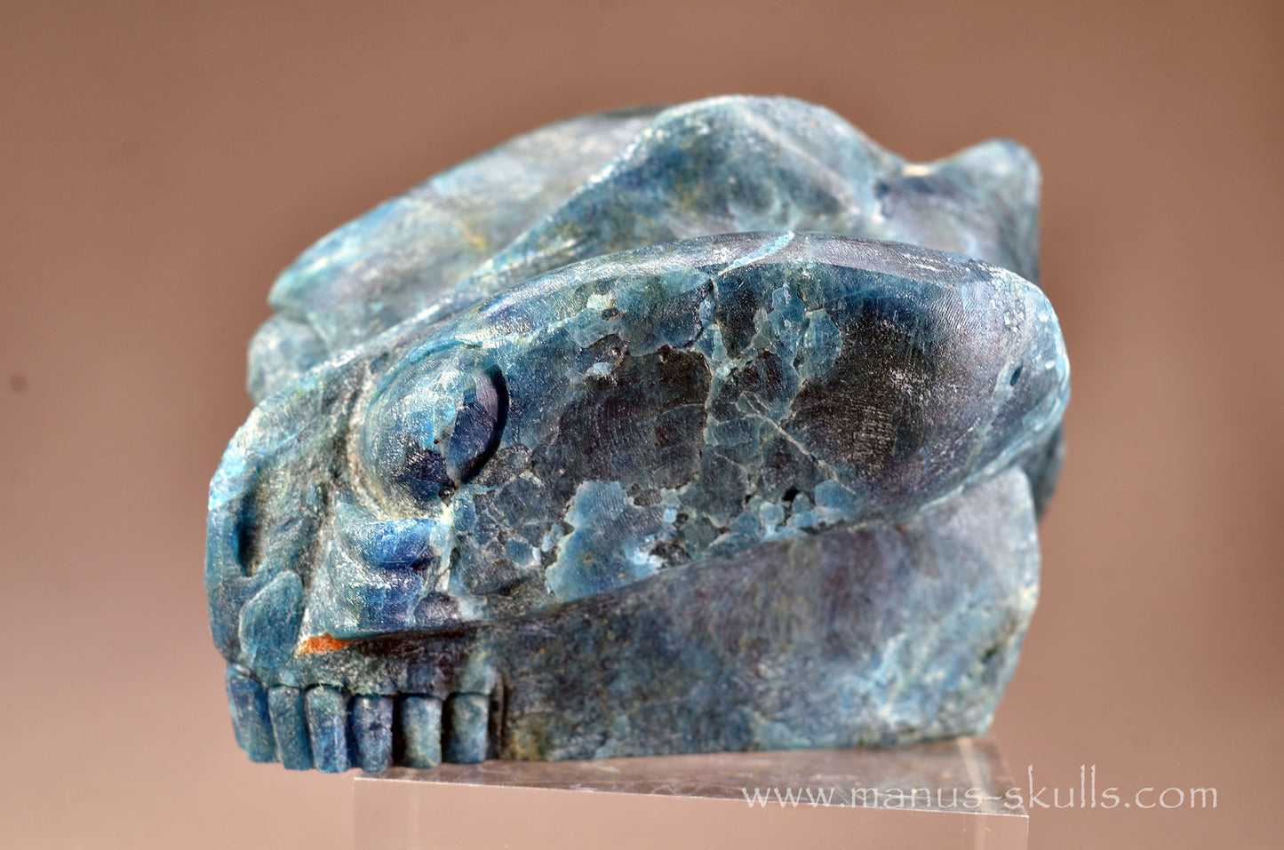 Apatite Alien Dragon