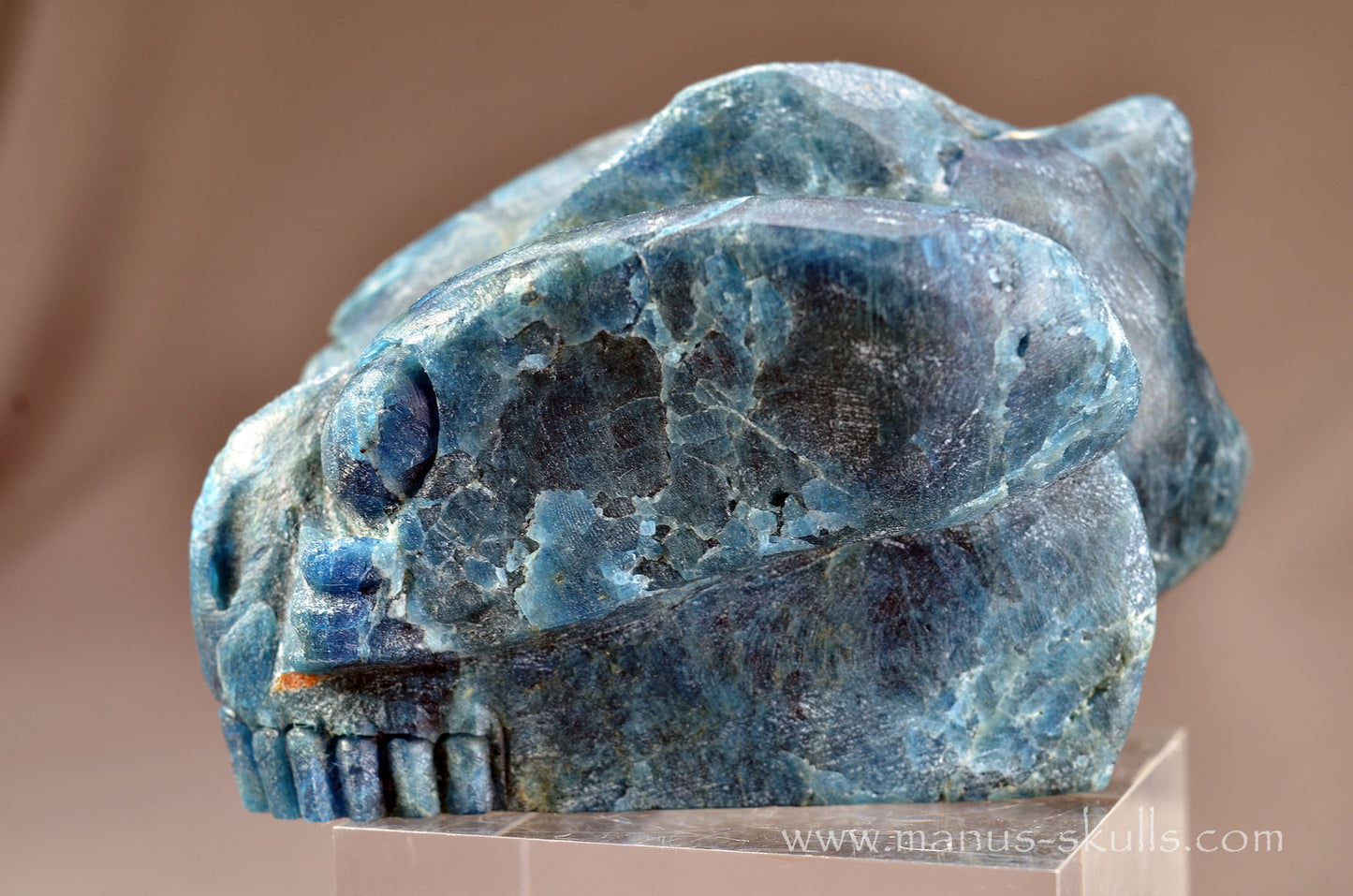 Apatite Alien Dragon